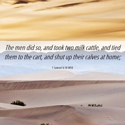 Picture 06 - 1 Samuel 6:10 WEB - The men did so, and took two milk cattle, and - Bible Verse Picture