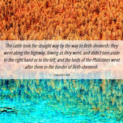 Picture 06 - 1 Samuel 6:12 WEB - The cattle took the straight way by the way to - Bible Verse Picture