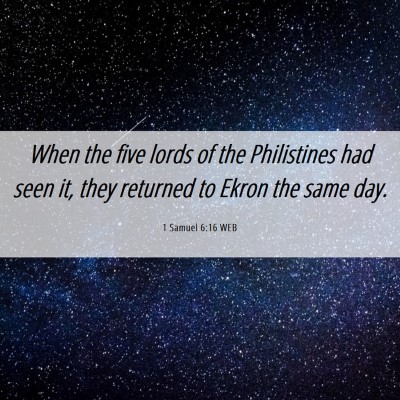 Picture 06 - 1 Samuel 6:16 WEB - When the five lords of the Philistines had seen - Bible Verse Picture