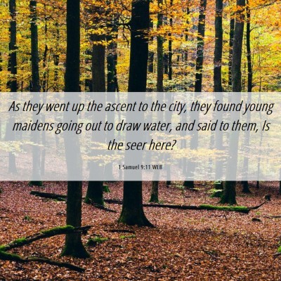 Picture 06 - 1 Samuel 9:11 WEB - As they went up the ascent to the city, they - Bible Verse Picture