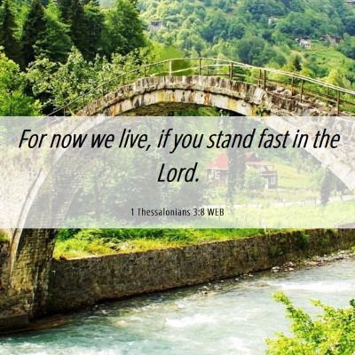 Picture 06 - 1 Thessalonians 3:8 WEB - For now we live, if you stand fast in the - Bible Verse Picture