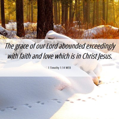 Picture 06 - 1 Timothy 1:14 WEB - The grace of our Lord abounded exceedingly with - Bible Verse Picture