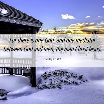 Picture 06 - 1 Timothy 2:5 WEB - For there is one God, and one mediator between - Bible Verse Picture