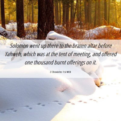 Picture 06 - 2 Chronicles 1:6 WEB - Solomon went up there to the brazen altar before - Bible Verse Picture