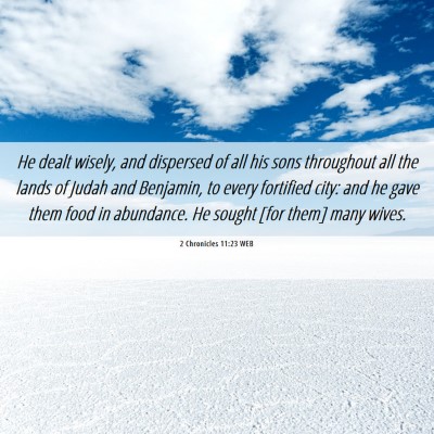 Picture 06 - 2 Chronicles 11:23 WEB - He dealt wisely, and dispersed of all his sons - Bible Verse Picture