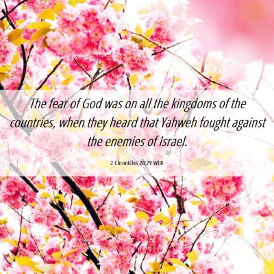 Picture 06 - 2 Chronicles 20:29 WEB - The fear of God was on all the kingdoms of the - Bible Verse Picture