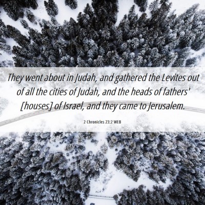 Picture 06 - 2 Chronicles 23:2 WEB - They went about in Judah, and gathered the - Bible Verse Picture