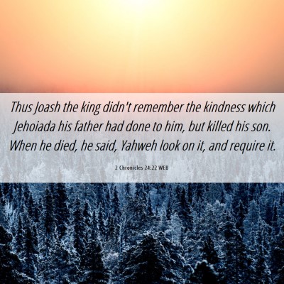 Picture 06 - 2 Chronicles 24:22 WEB - Thus Joash the king didn't remember the kindness - Bible Verse Picture
