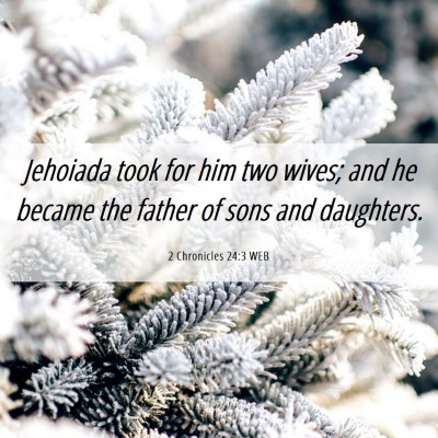 Picture 06 - 2 Chronicles 24:3 WEB - Jehoiada took for him two wives; and he became - Bible Verse Picture