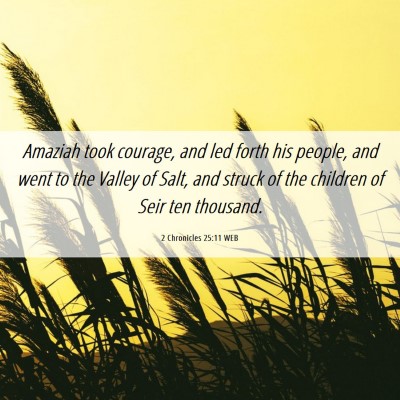 Picture 06 - 2 Chronicles 25:11 WEB - Amaziah took courage, and led forth his people, - Bible Verse Picture