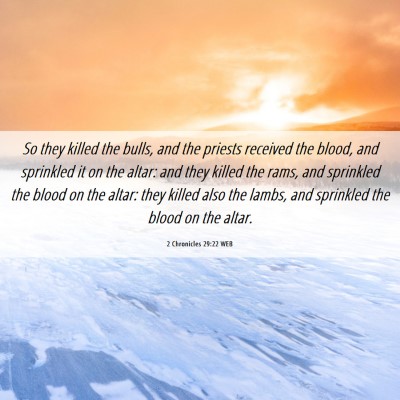 Picture 06 - 2 Chronicles 29:22 WEB - So they killed the bulls, and the priests - Bible Verse Picture