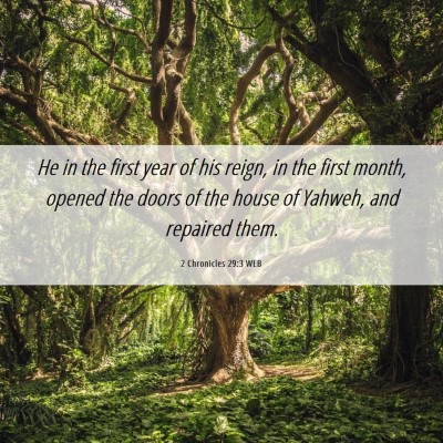 Picture 06 - 2 Chronicles 29:3 WEB - He in the first year of his reign, in the first - Bible Verse Picture