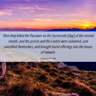 Picture 06 - 2 Chronicles 30:15 WEB - Then they killed the Passover on the fourteenth - Bible Verse Picture