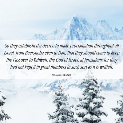 Picture 06 - 2 Chronicles 30:5 WEB - So they established a decree to make proclamation - Bible Verse Picture