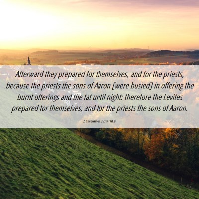 Picture 06 - 2 Chronicles 35:14 WEB - Afterward they prepared for themselves, and for - Bible Verse Picture