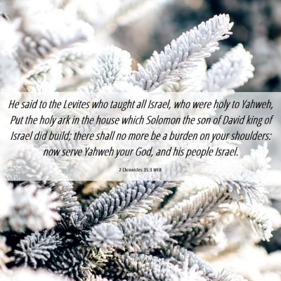 Picture 06 - 2 Chronicles 35:3 WEB - He said to the Levites who taught all Israel, who - Bible Verse Picture