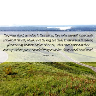 Picture 06 - 2 Chronicles 7:6 WEB - The priests stood, according to their offices; - Bible Verse Picture