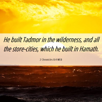 Picture 06 - 2 Chronicles 8:4 WEB - He built Tadmor in the wilderness, and all the - Bible Verse Picture