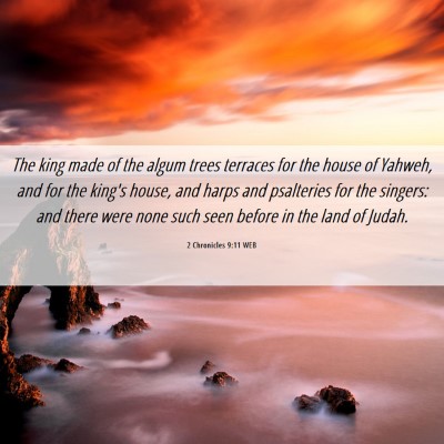 Picture 06 - 2 Chronicles 9:11 WEB - The king made of the algum trees terraces for the - Bible Verse Picture