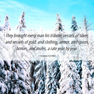 Picture 06 - 2 Chronicles 9:24 WEB - They brought every man his tribute, vessels of - Bible Verse Picture