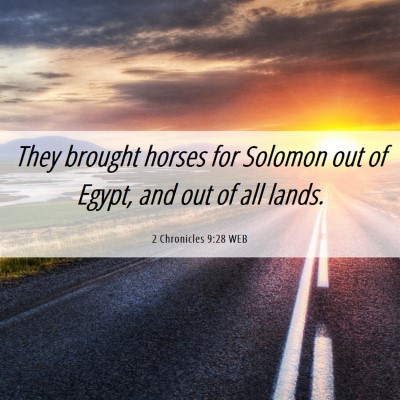 Picture 06 - 2 Chronicles 9:28 WEB - They brought horses for Solomon out of Egypt, and - Bible Verse Picture