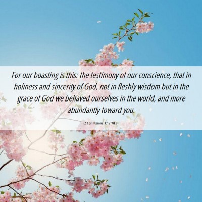 Picture 06 - 2 Corinthians 1:12 WEB - For our boasting is this: the testimony of our - Bible Verse Picture