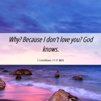 Picture 06 - 2 Corinthians 11:11 WEB - Why? Because I don't love you? God - Bible Verse Picture