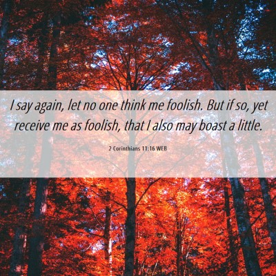 Picture 06 - 2 Corinthians 11:16 WEB - I say again, let no one think me foolish. But if - Bible Verse Picture