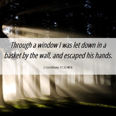 Picture 06 - 2 Corinthians 11:33 WEB - Through a window I was let down in a basket by - Bible Verse Picture