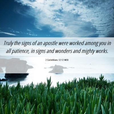Picture 06 - 2 Corinthians 12:12 WEB - Truly the signs of an apostle were worked among - Bible Verse Picture