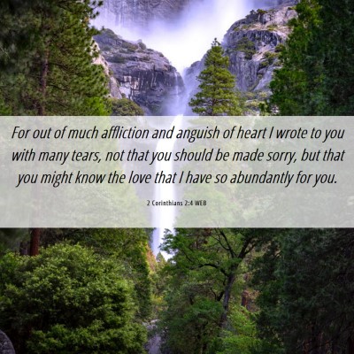 Picture 06 - 2 Corinthians 2:4 WEB - For out of much affliction and anguish of heart I - Bible Verse Picture