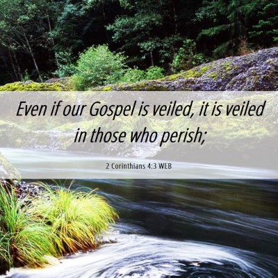 Picture 06 - 2 Corinthians 4:3 WEB - Even if our Gospel is veiled, it is veiled in - Bible Verse Picture