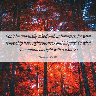 Picture 06 - 2 Corinthians 6:14 WEB - Don't be unequally yoked with unbelievers, for - Bible Verse Picture