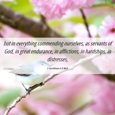 Picture 06 - 2 Corinthians 6:4 WEB - but in everything commending ourselves, as - Bible Verse Picture