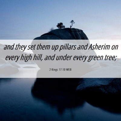 Picture 06 - 2 Kings 17:10 WEB - and they set them up pillars and Asherim on every - Bible Verse Picture