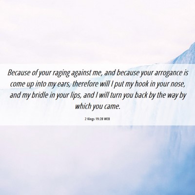 Picture 06 - 2 Kings 19:28 WEB - Because of your raging against me, and because - Bible Verse Picture