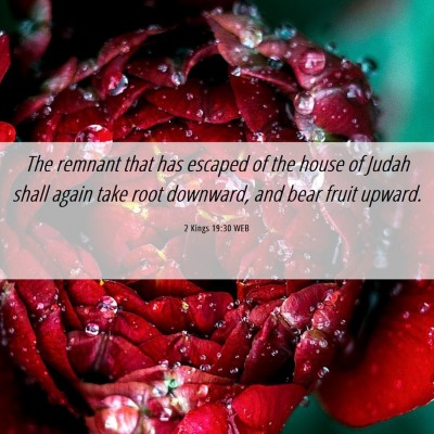 Picture 06 - 2 Kings 19:30 WEB - The remnant that has escaped of the house of - Bible Verse Picture