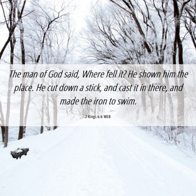 Picture 06 - 2 Kings 6:6 WEB - The man of God said, Where fell it? He shown him - Bible Verse Picture