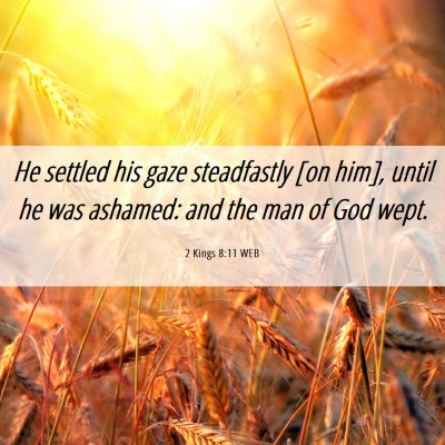Picture 06 - 2 Kings 8:11 WEB - He settled his gaze steadfastly [on him], until - Bible Verse Picture