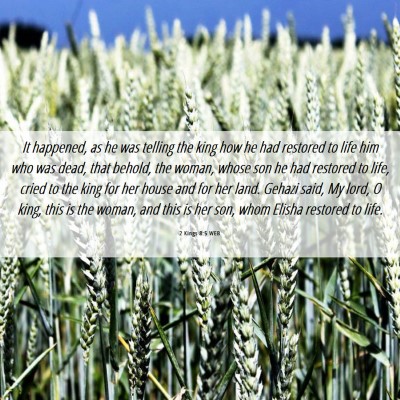 Picture 06 - 2 Kings 8:5 WEB - It happened, as he was telling the king how he - Bible Verse Picture