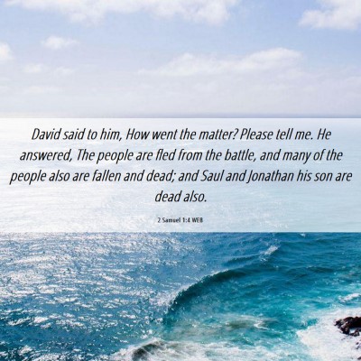 Picture 06 - 2 Samuel 1:4 WEB - David said to him, How went the matter? Please - Bible Verse Picture