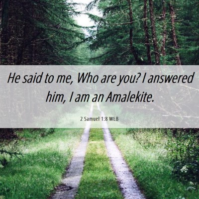 Picture 06 - 2 Samuel 1:8 WEB - He said to me, Who are you? I answered him, I am - Bible Verse Picture