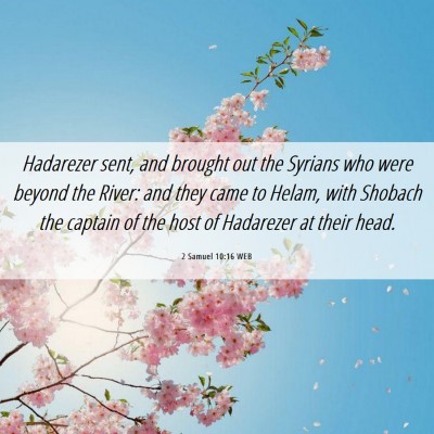 Picture 06 - 2 Samuel 10:16 WEB - Hadarezer sent, and brought out the Syrians who - Bible Verse Picture