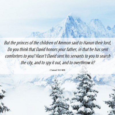 Picture 06 - 2 Samuel 10:3 WEB - But the princes of the children of Ammon said to - Bible Verse Picture