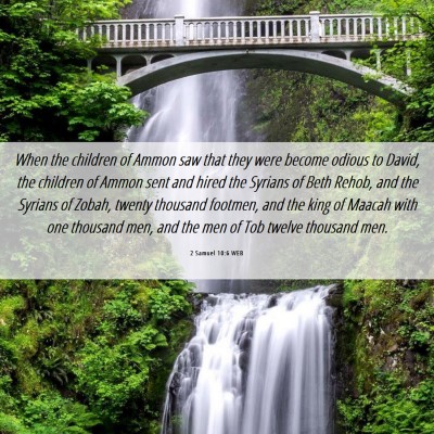 Picture 06 - 2 Samuel 10:6 WEB - When the children of Ammon saw that they were - Bible Verse Picture