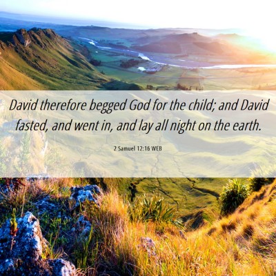 Picture 06 - 2 Samuel 12:16 WEB - David therefore begged God for the child; and - Bible Verse Picture