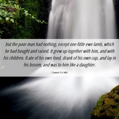 Picture 06 - 2 Samuel 12:3 WEB - but the poor man had nothing, except one little - Bible Verse Picture