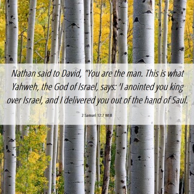 Picture 06 - 2 Samuel 12:7 WEB - Nathan said to David, 