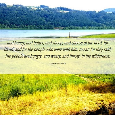 Picture 06 - 2 Samuel 17:29 WEB - and honey, and butter, and sheep, and cheese of - Bible Verse Picture