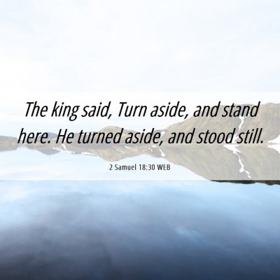 Picture 06 - 2 Samuel 18:30 WEB - The king said, Turn aside, and stand here. He - Bible Verse Picture